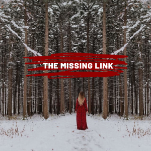 Missing Link MMIW
